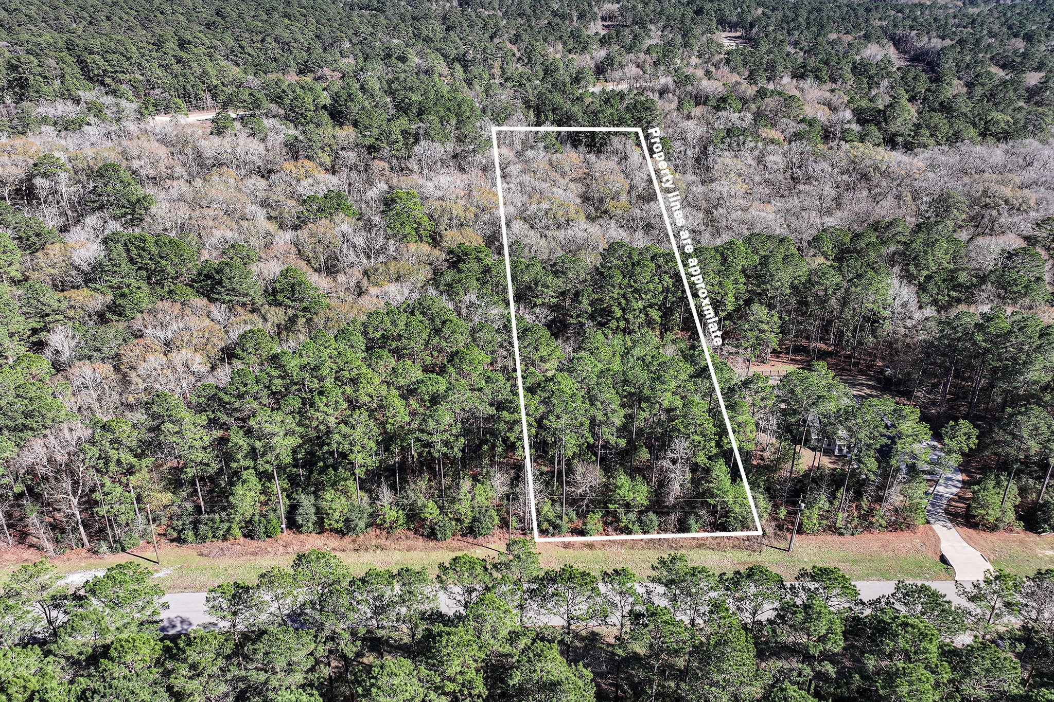 76 Wagon Pass Property Photo 2