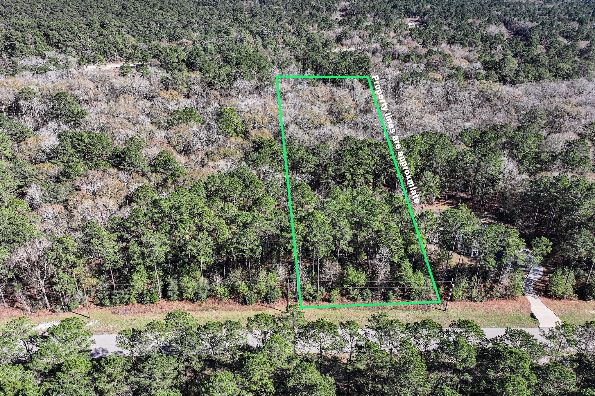 76 Wagon Pass Property Photo 2