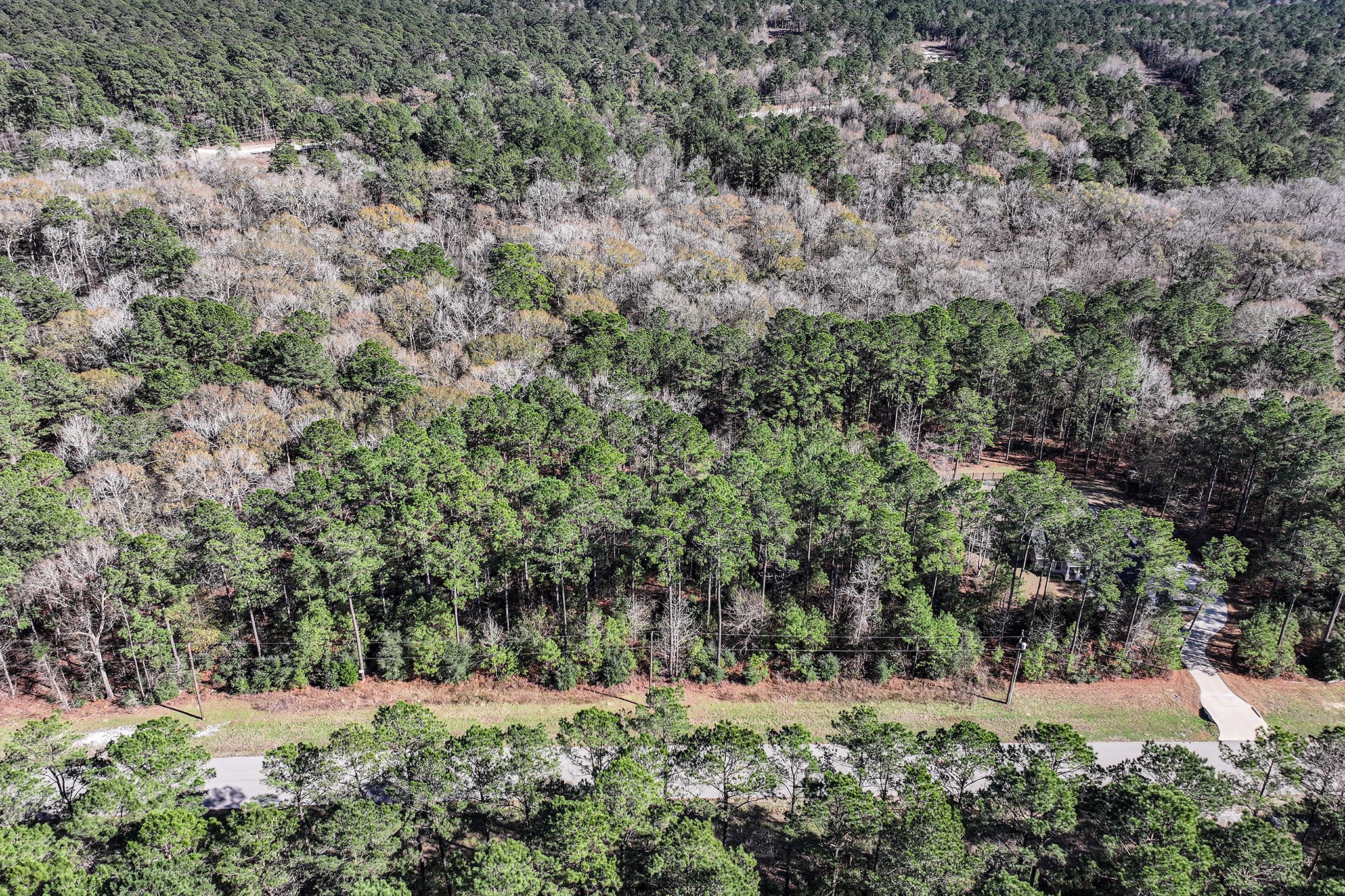 76 Wagon Pass Property Photo 4