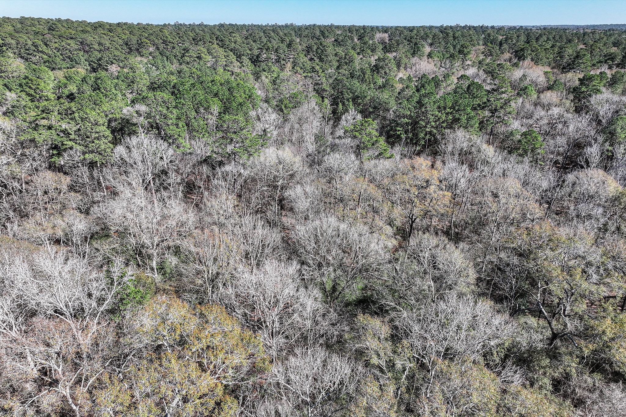 76 Wagon Pass Property Photo 6