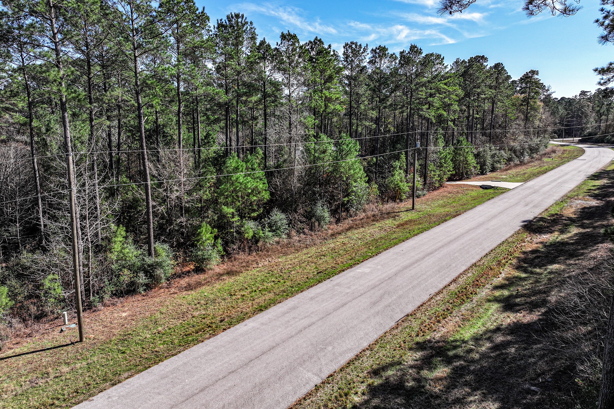 76 Wagon Pass Property Photo 7