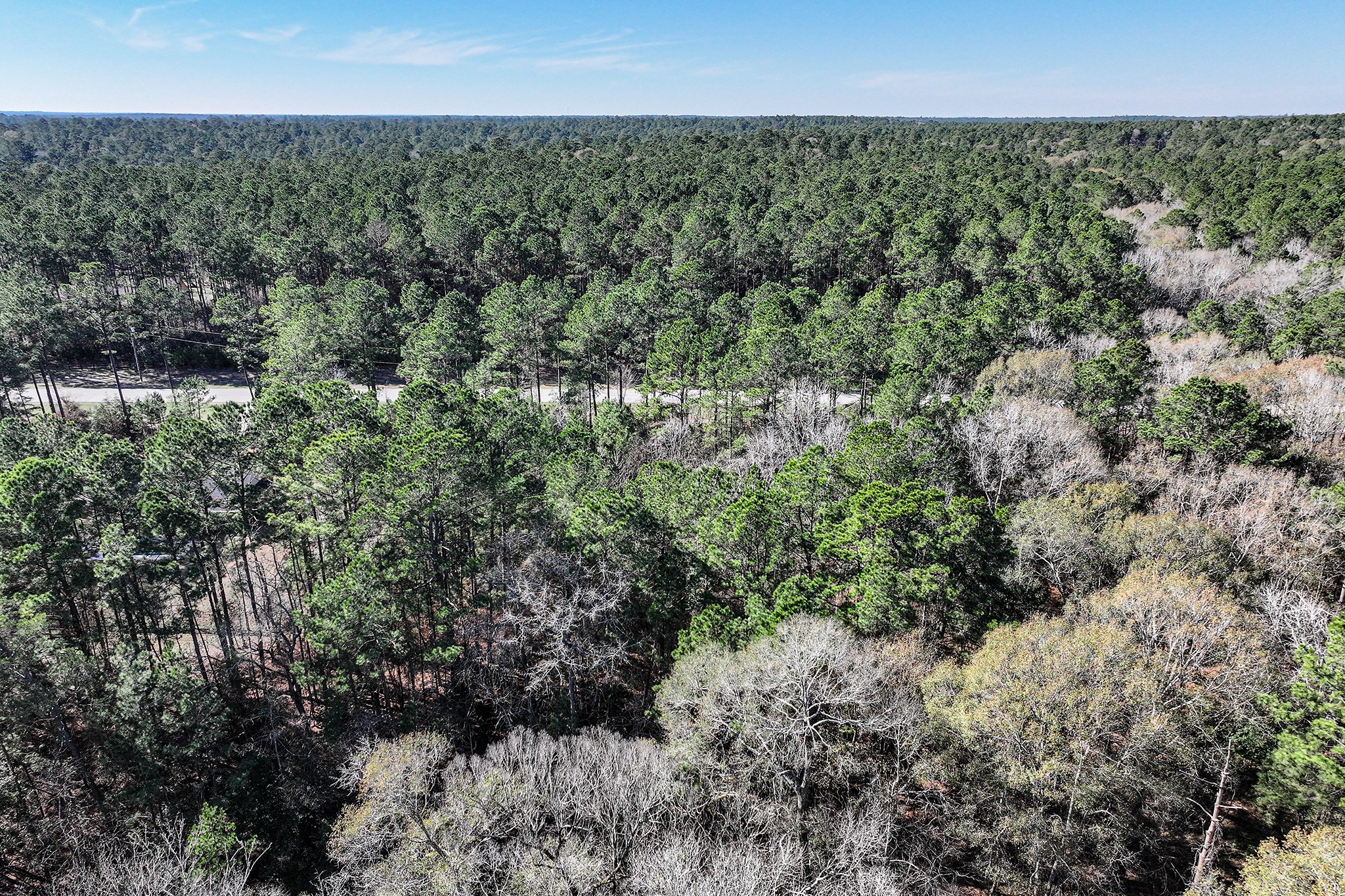 76 Wagon Pass Property Photo 9