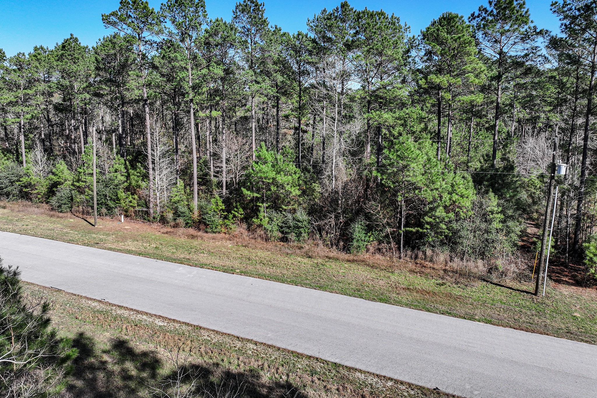 76 Wagon Pass Property Photo 10