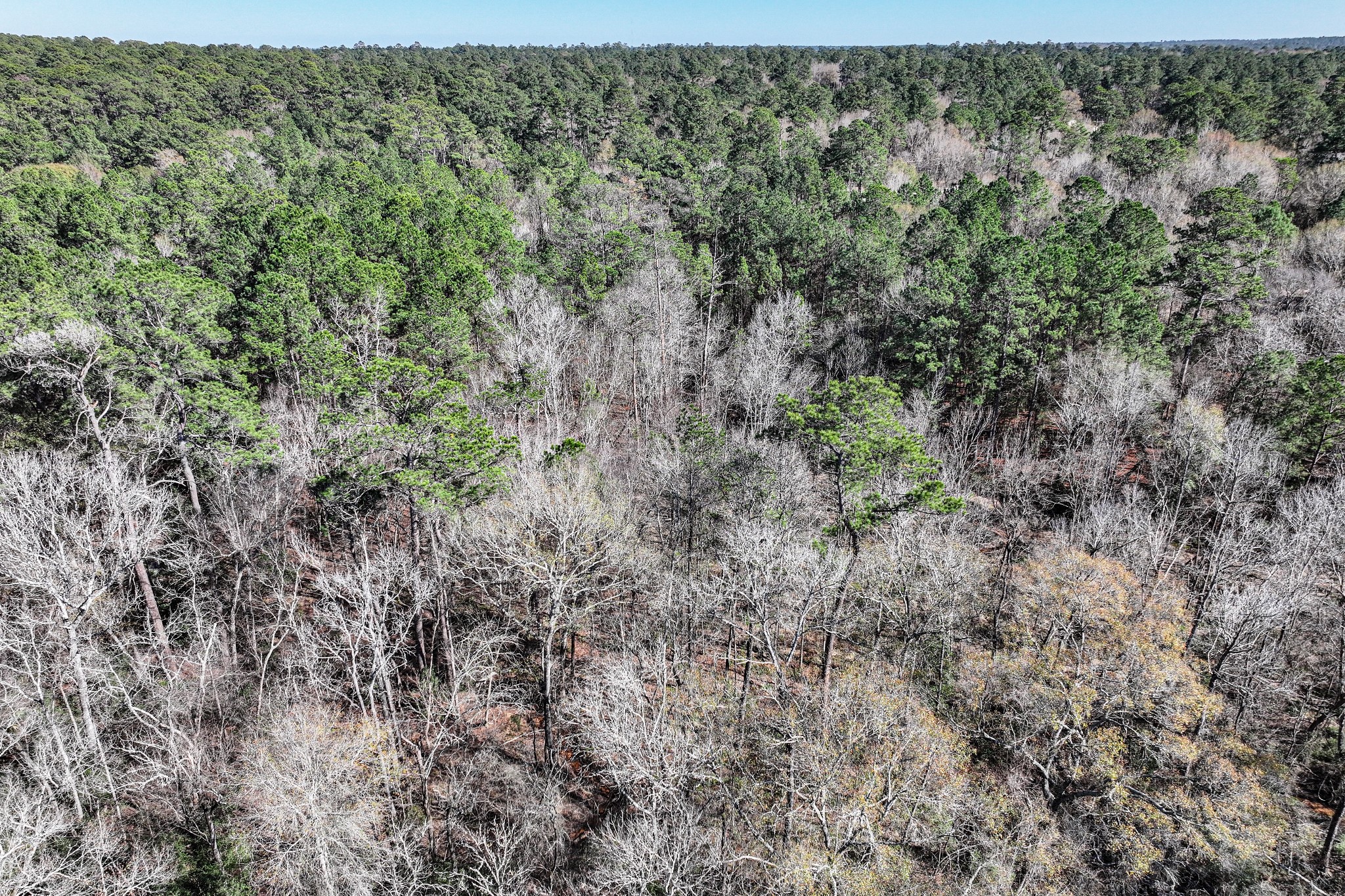 76 Wagon Pass Property Photo 11