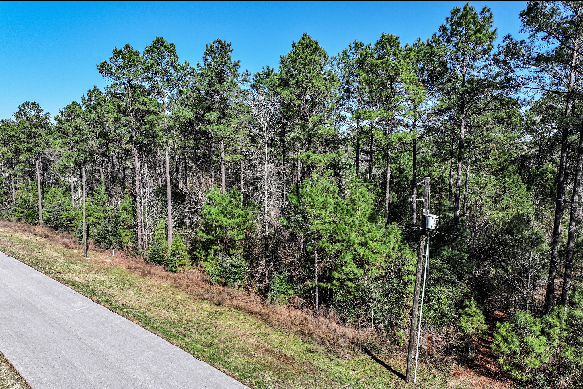 76 Wagon Pass Property Photo 12