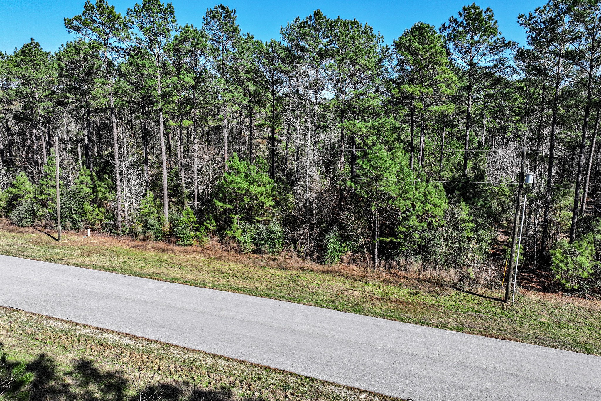 76 Wagon Pass Property Photo 14