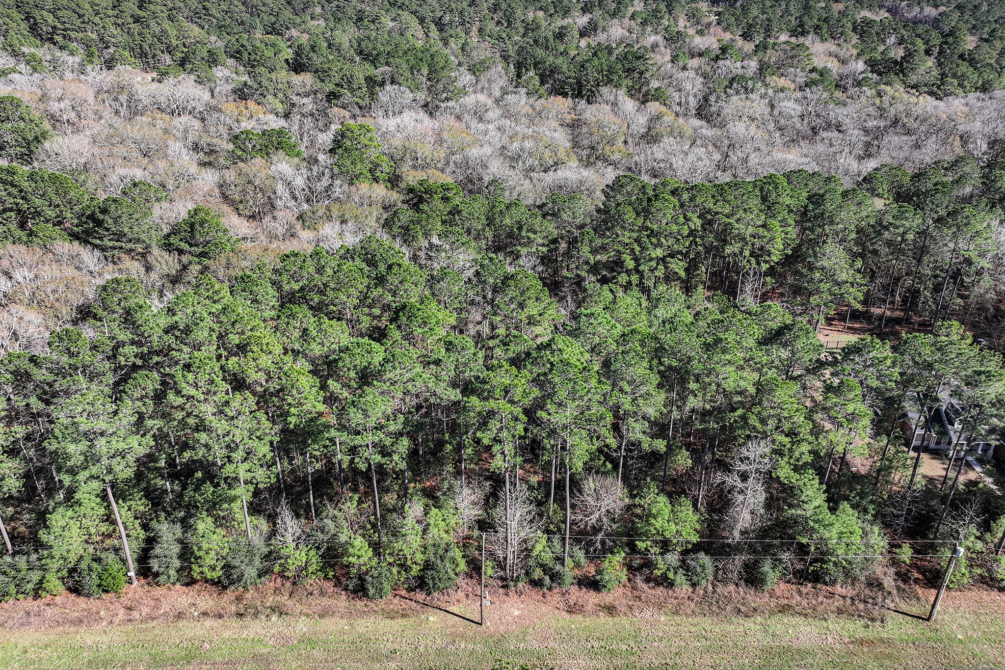 76 Wagon Pass Property Photo 17