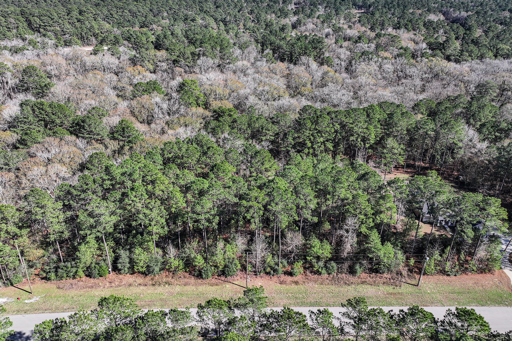 76 Wagon Pass Property Photo 18