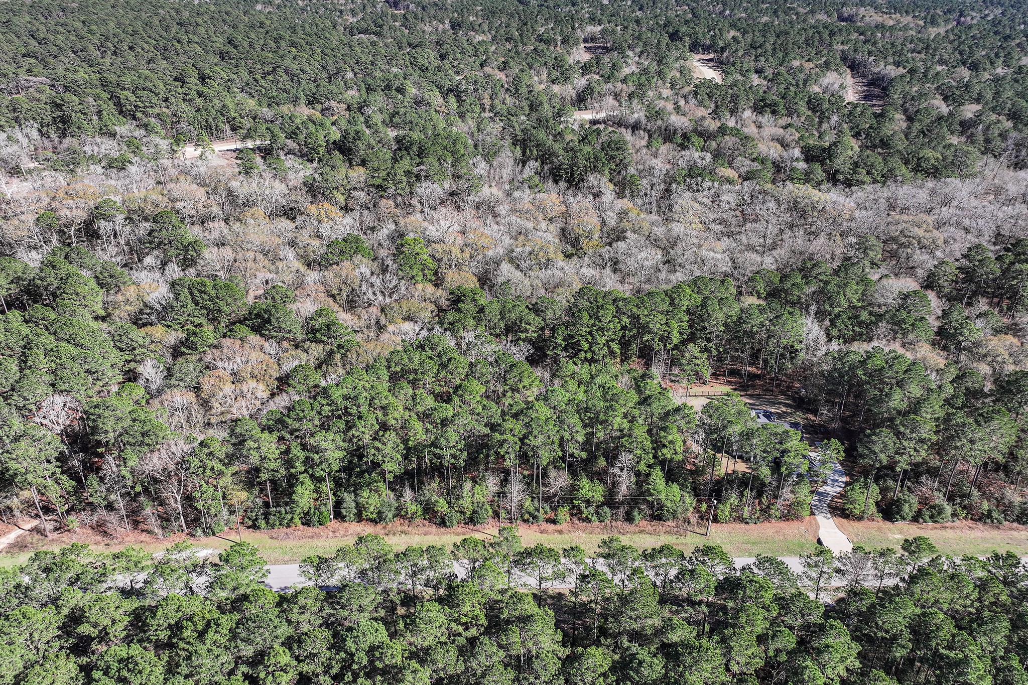 76 Wagon Pass Property Photo 19
