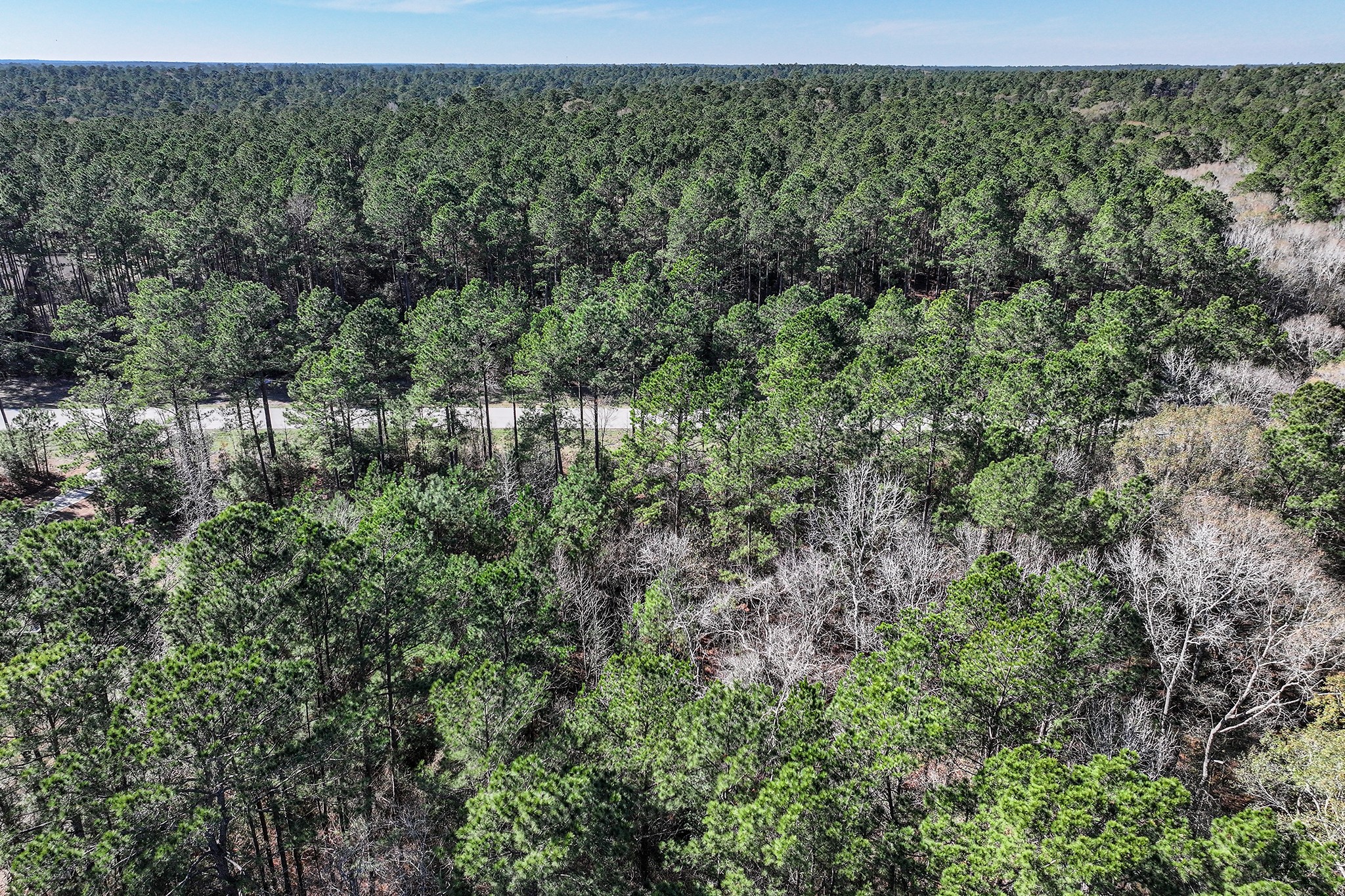 76 Wagon Pass Property Photo 23