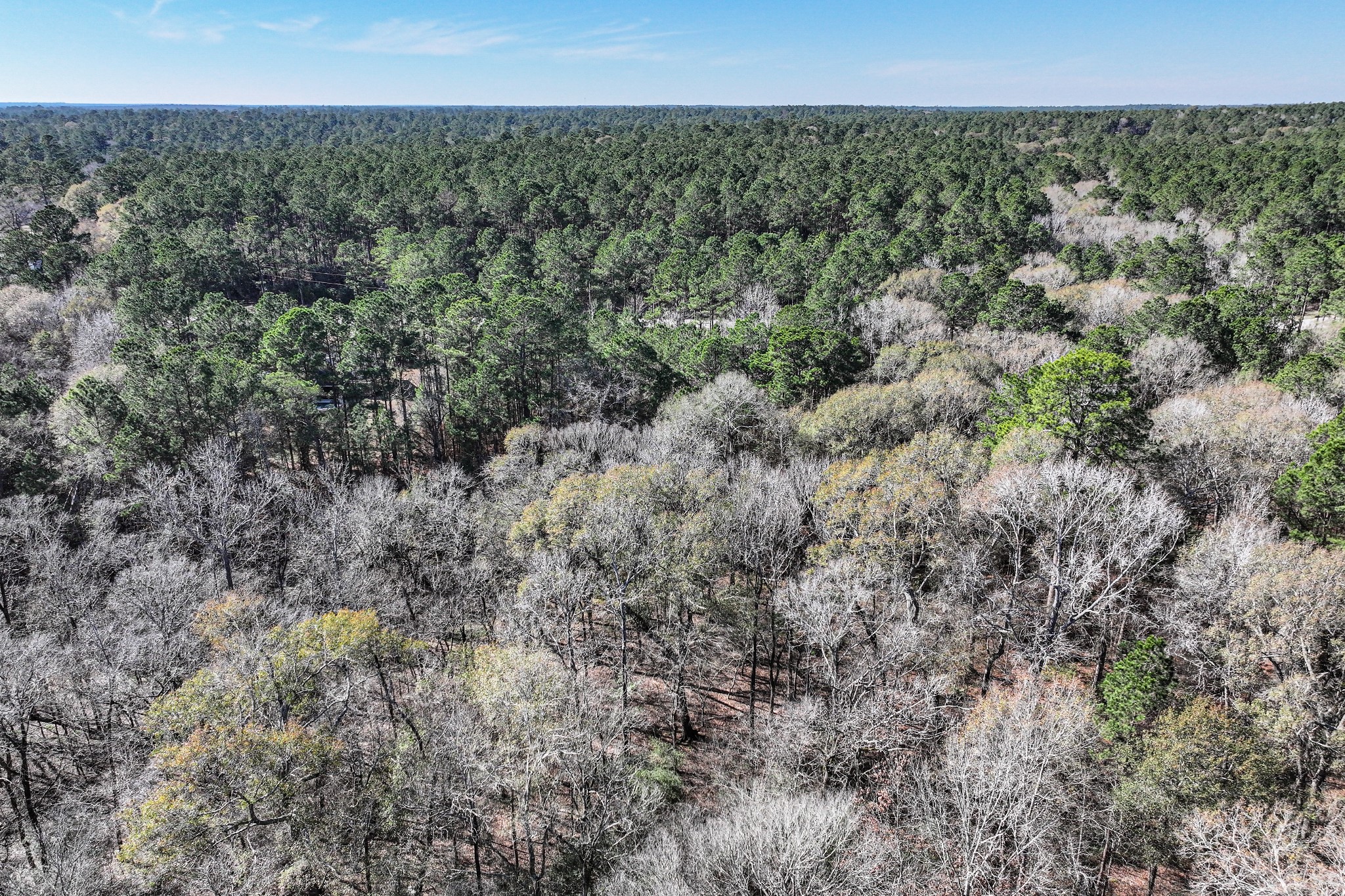 76 Wagon Pass Property Photo 24
