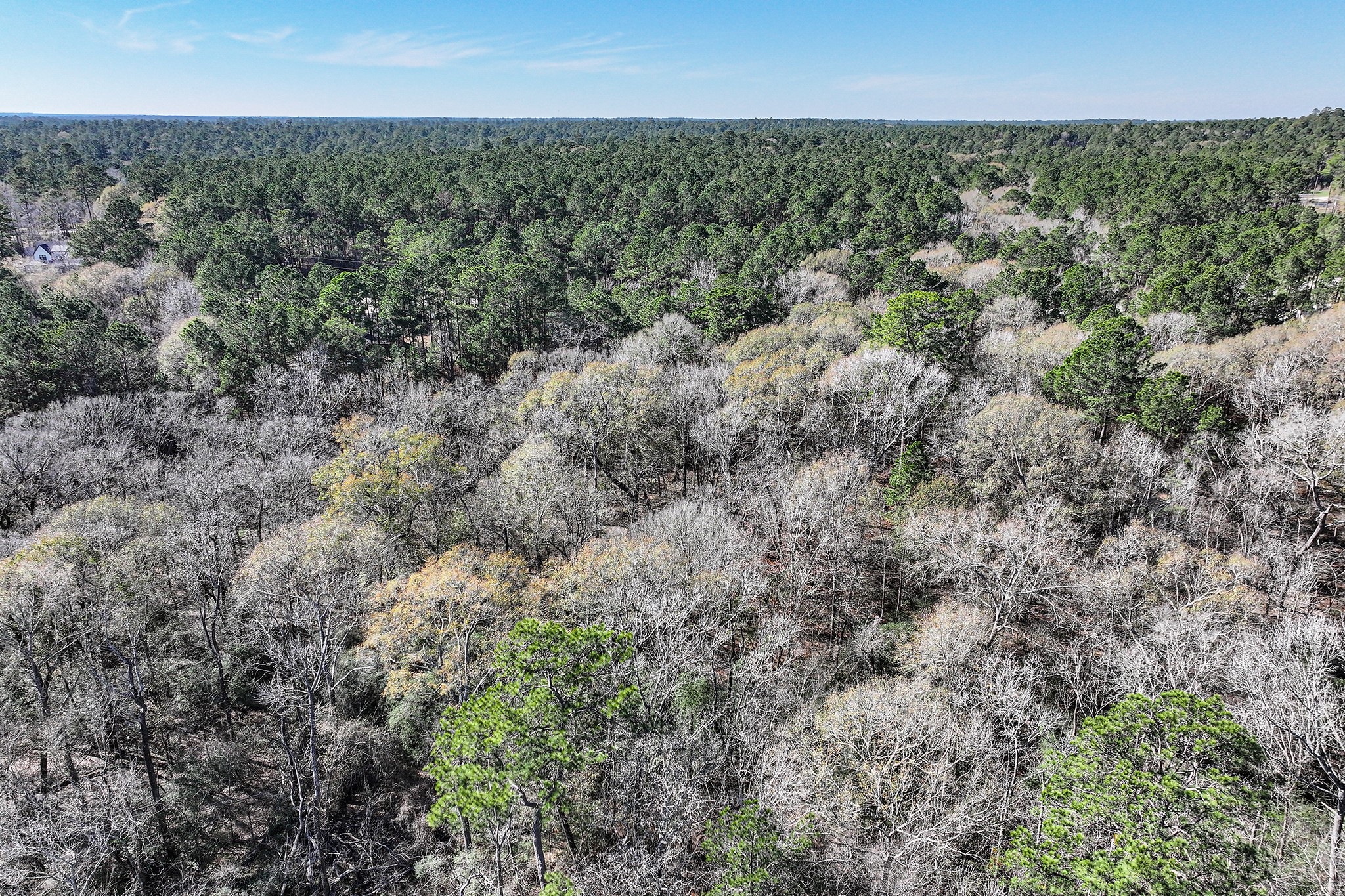 76 Wagon Pass Property Photo 25