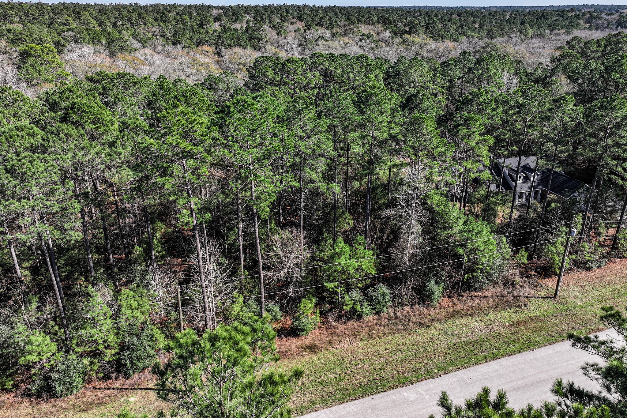 76 Wagon Pass Property Photo 27
