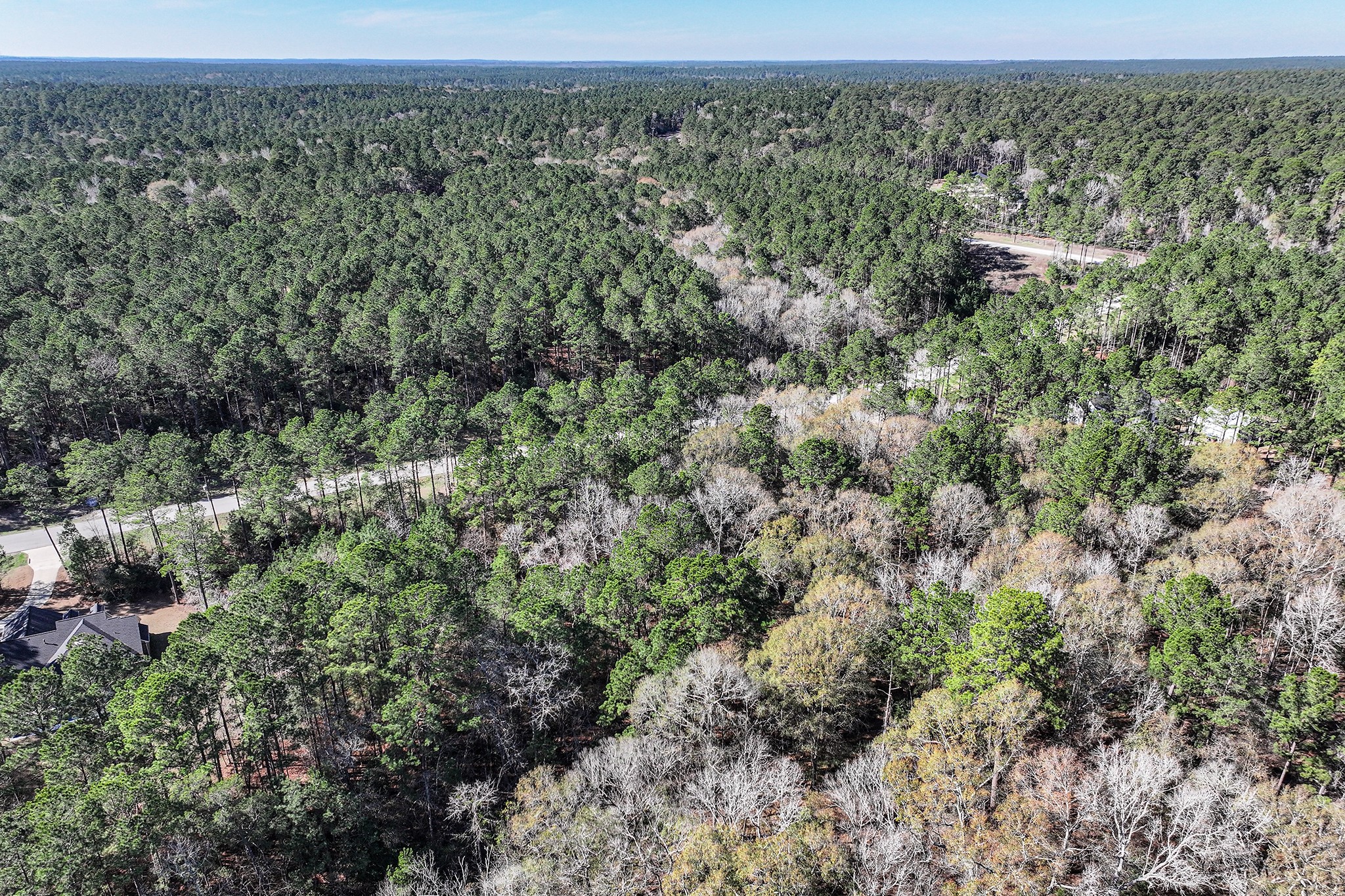 76 Wagon Pass Property Photo 29