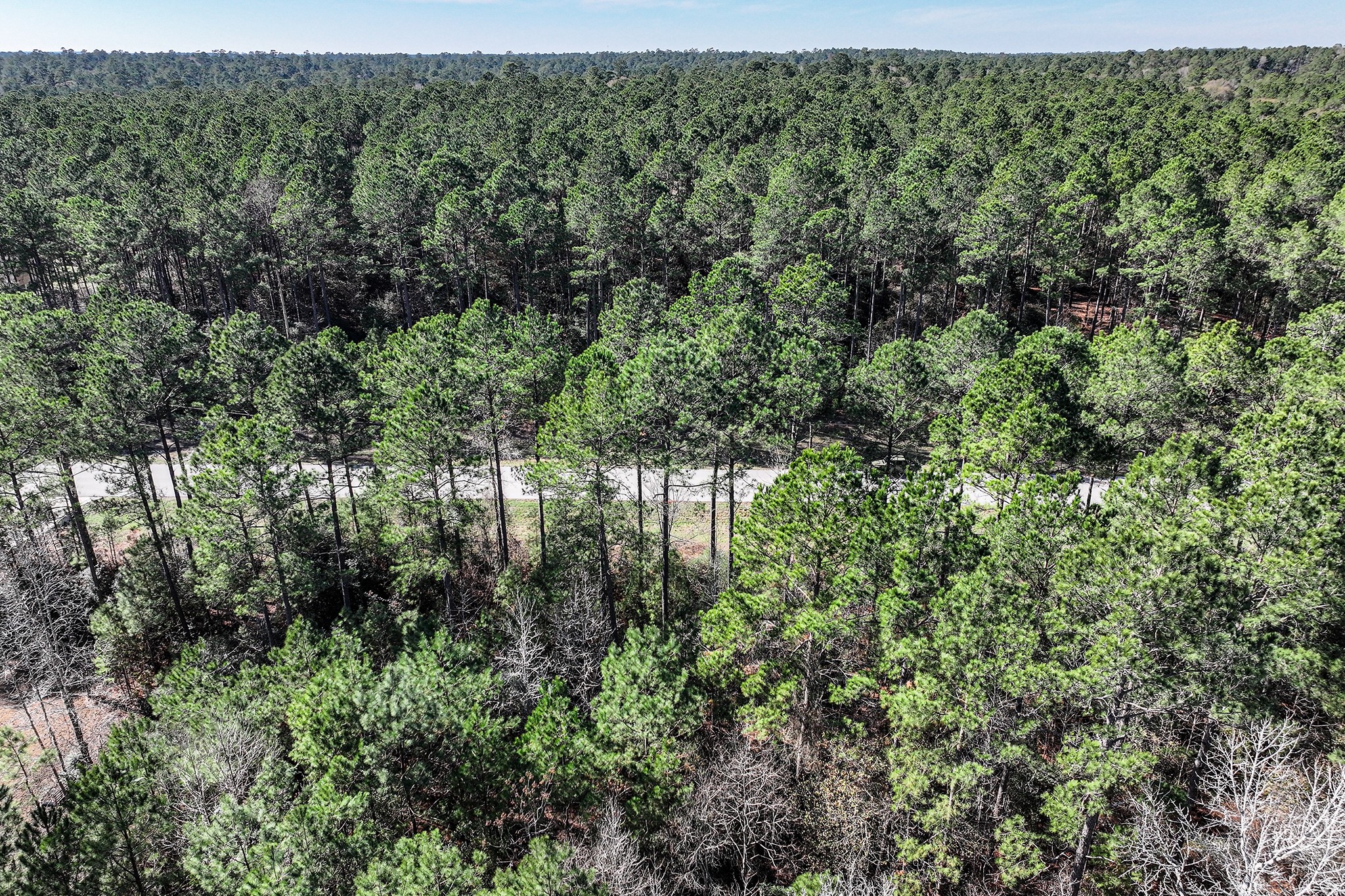 76 Wagon Pass Property Photo 34