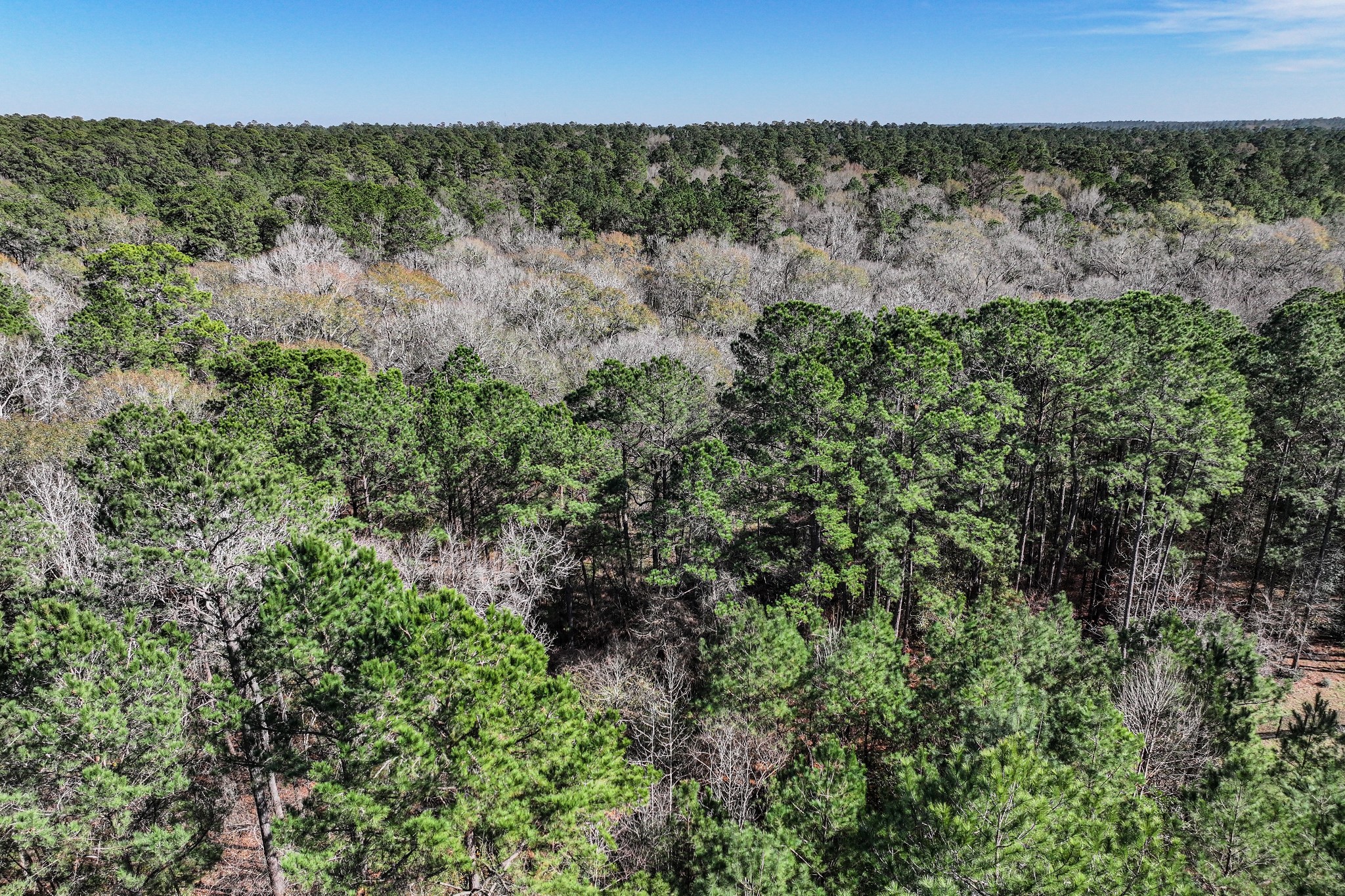 76 Wagon Pass Property Photo 35