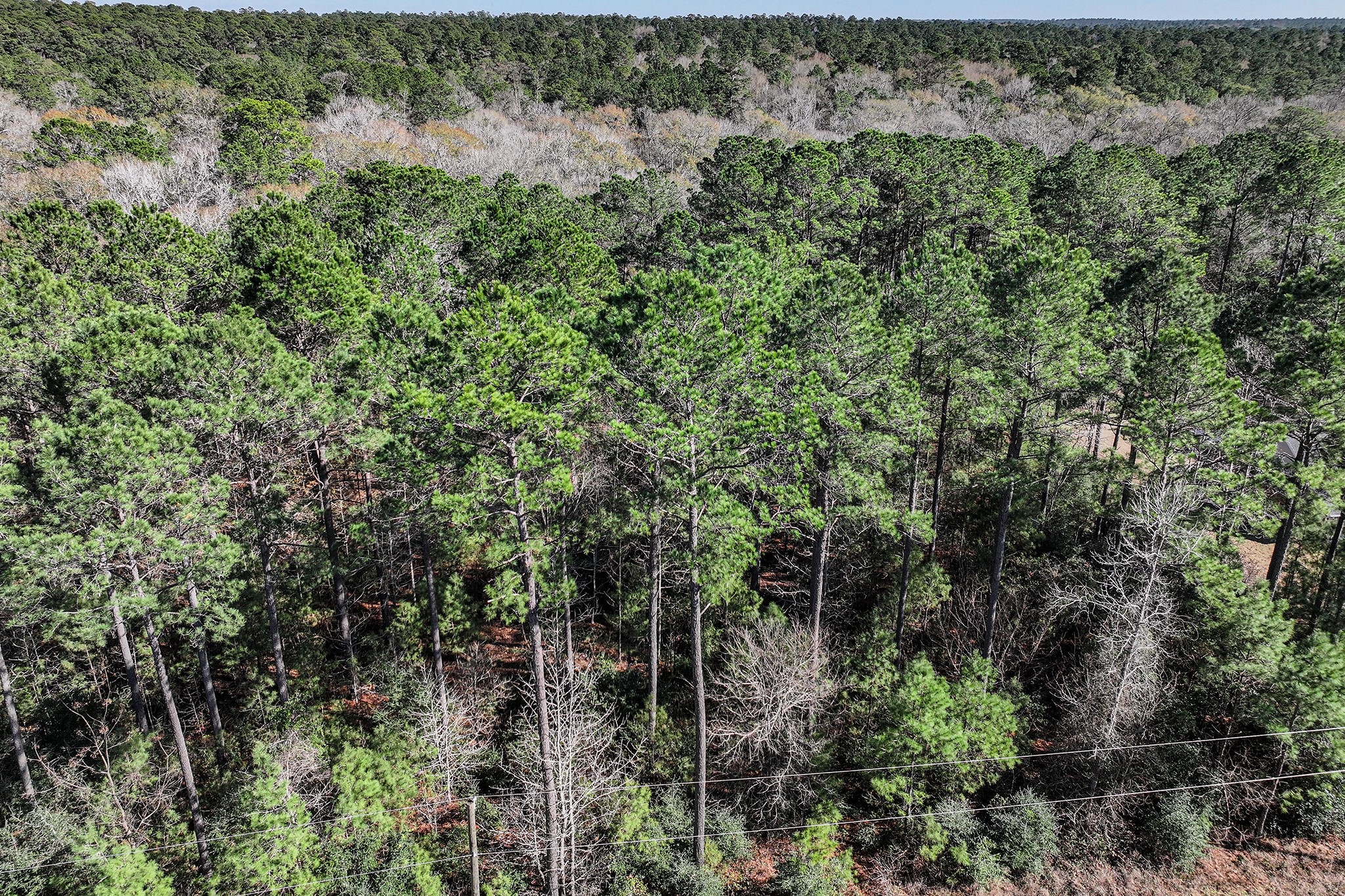 76 Wagon Pass Property Photo 36