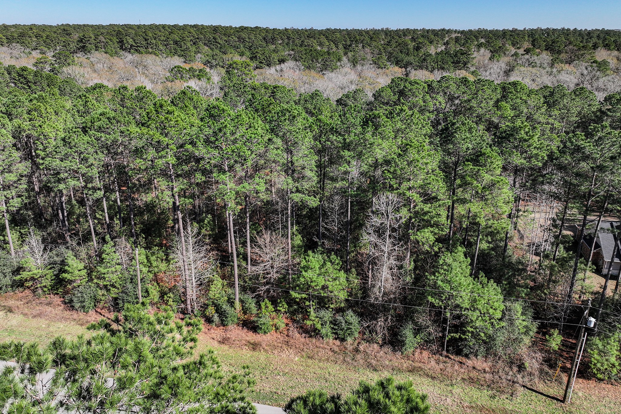 76 Wagon Pass Property Photo 37