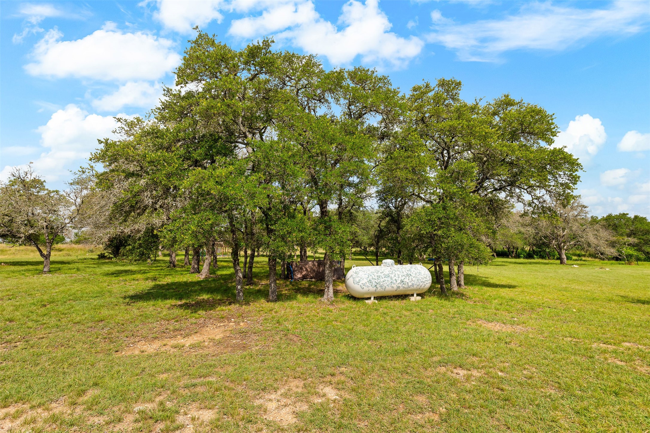 204 Kendall Jackson Property Photo 9
