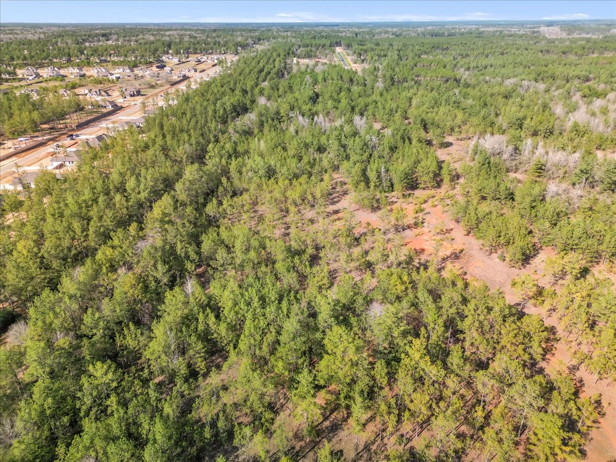 0 A0186 - Dease Conley, Tract 15, Acres 20 Property Photo 3