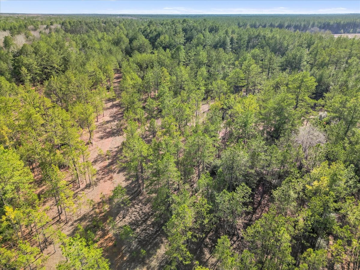 0 A0186 - Dease Conley, Tract 15, Acres 20 Property Photo 4