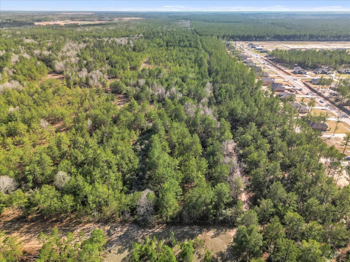 0 A0186 - Dease Conley, Tract 15, Acres 20 Property Photo 5