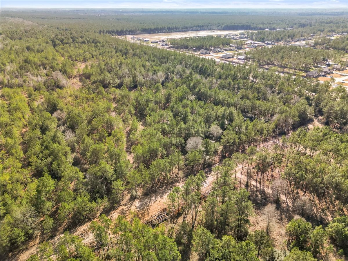 0 A0186 - Dease Conley, Tract 15, Acres 20 Property Photo 6