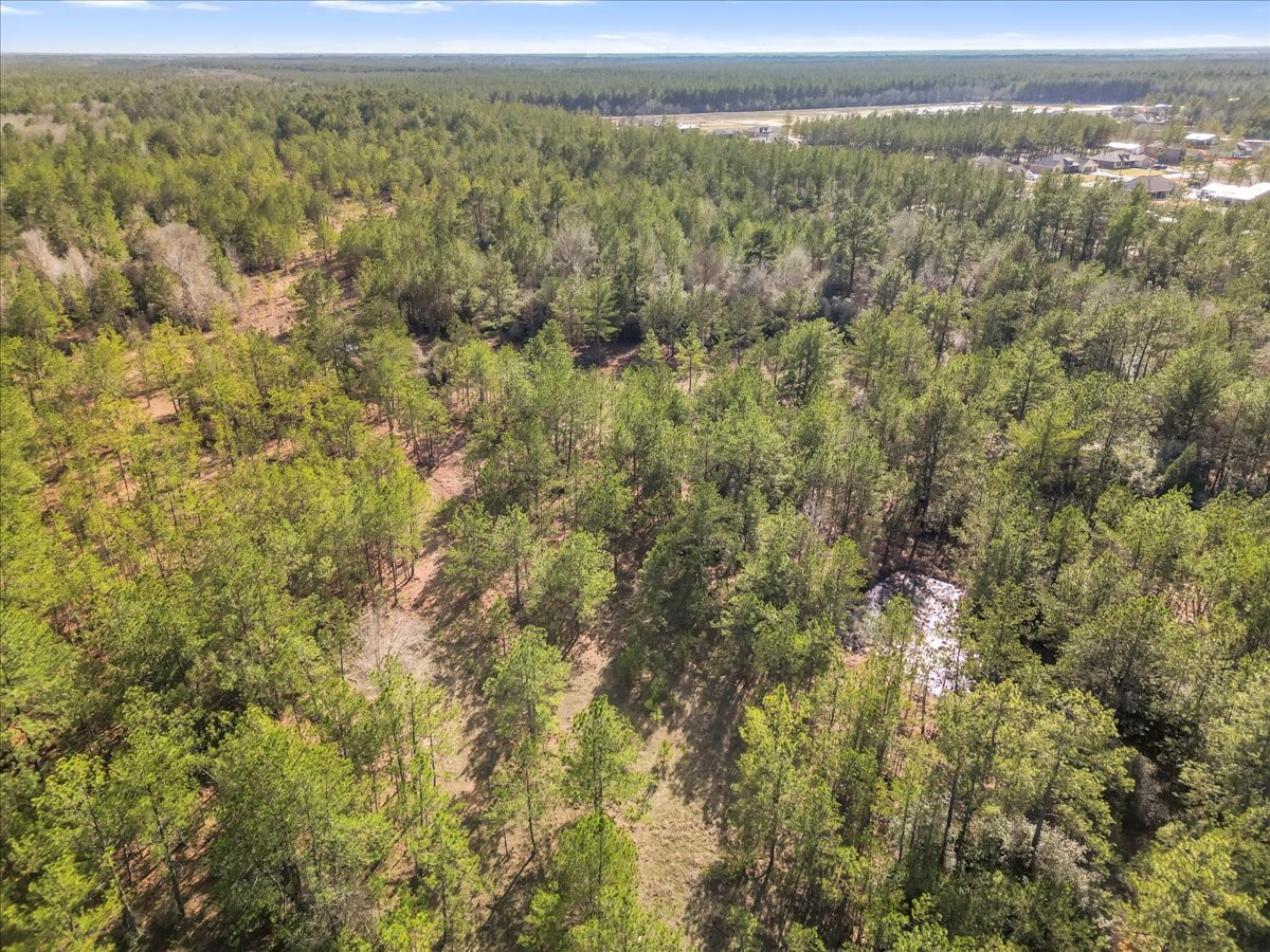 0 A0186 - Dease Conley, Tract 15, Acres 20 Property Photo 7