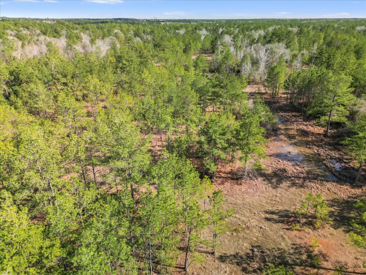 0 A0186 - Dease Conley, Tract 15, Acres 20 Property Photo 8