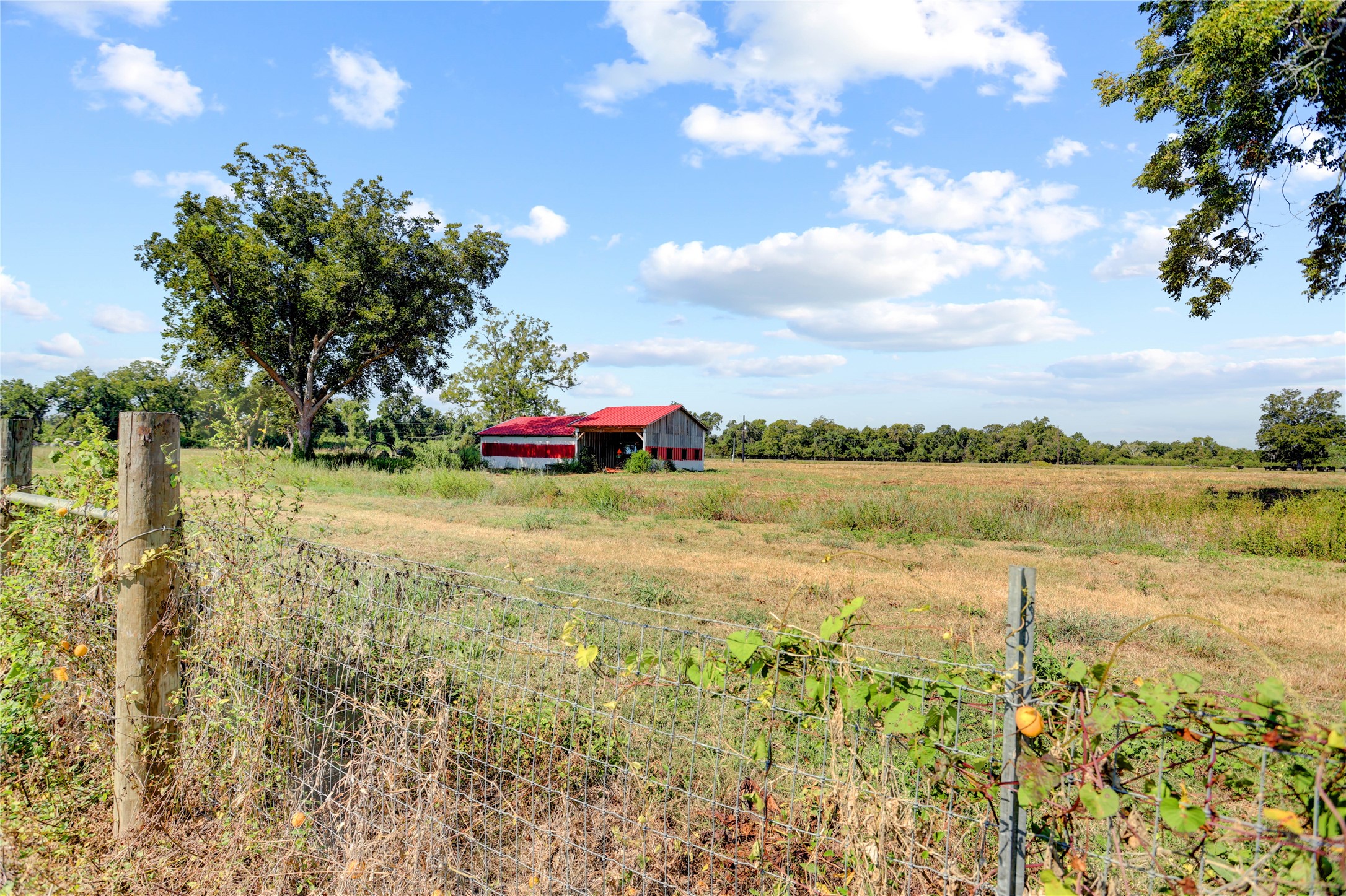 11861 County Road 160 Road Property Photo 17