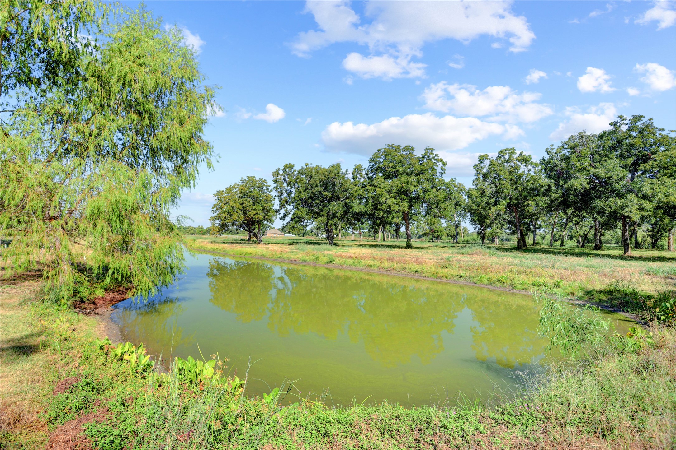 11861 County Road 160 Road Property Photo 19