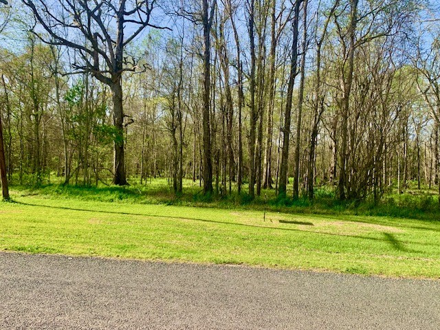 3 Lots County Road 2500 Property Photo 1