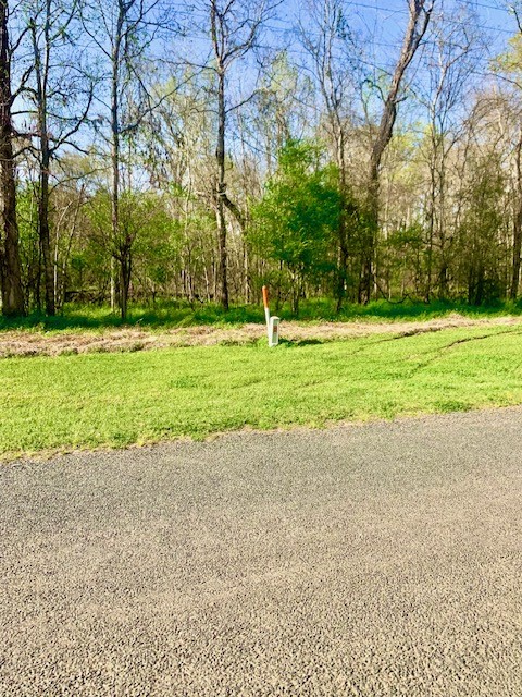 3 Lots County Road 2500 Property Photo 3