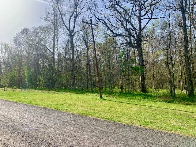 3 Lots County Road 2500 Property Photo 5