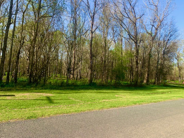 3 Lots County Road 2500 Property Photo 6
