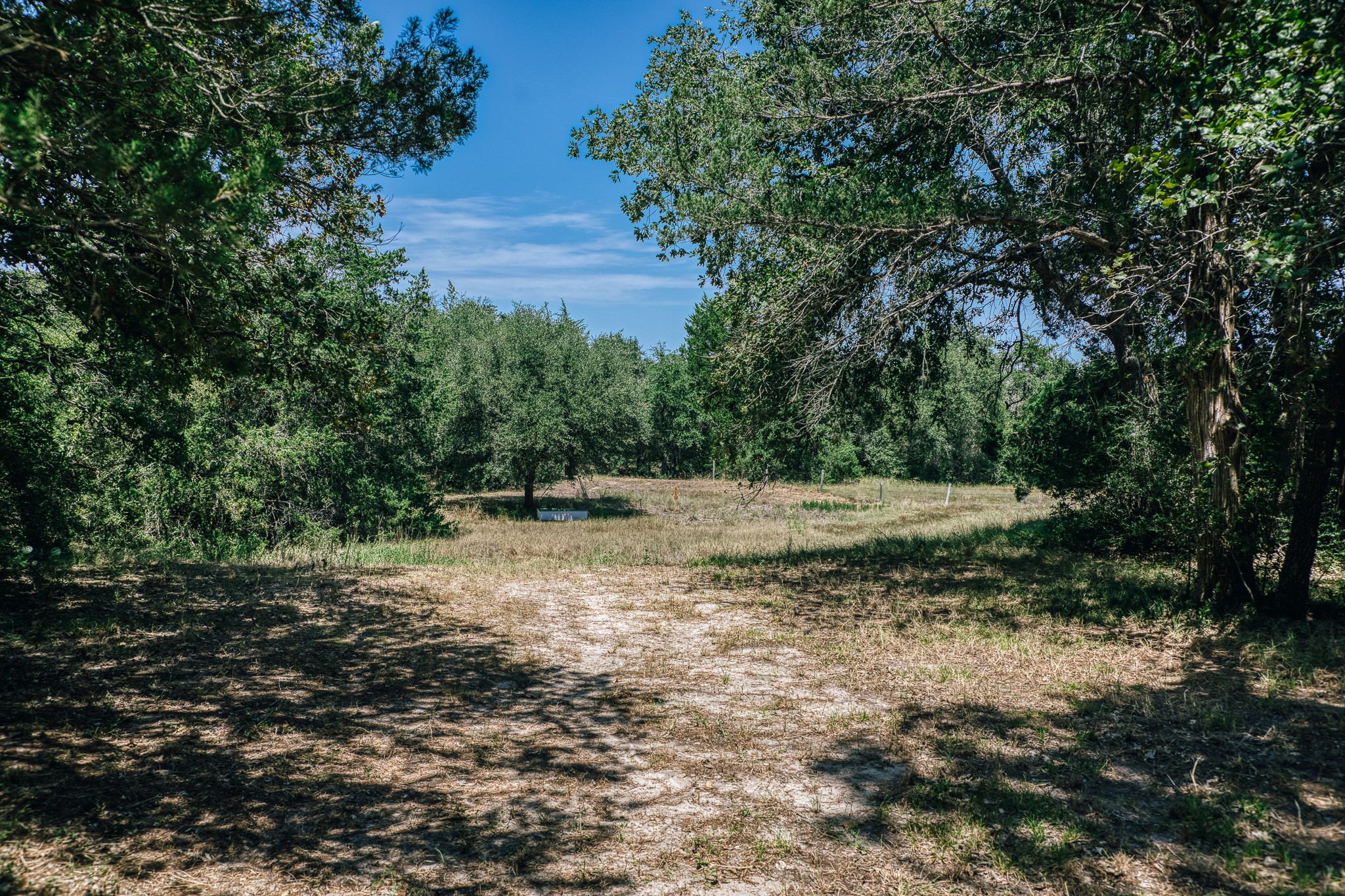5003 Rocky Creek Manor Property Photo 3