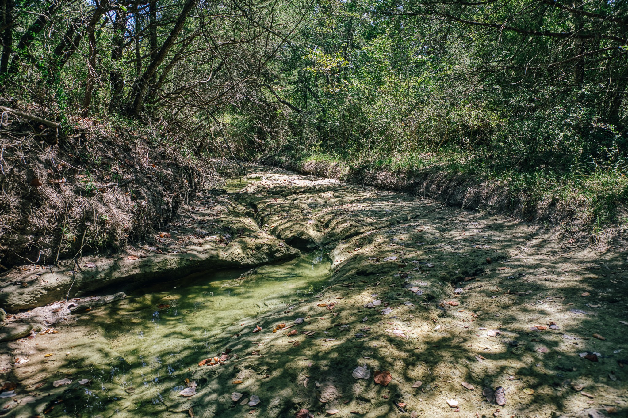 5003 Rocky Creek Manor Property Photo 7