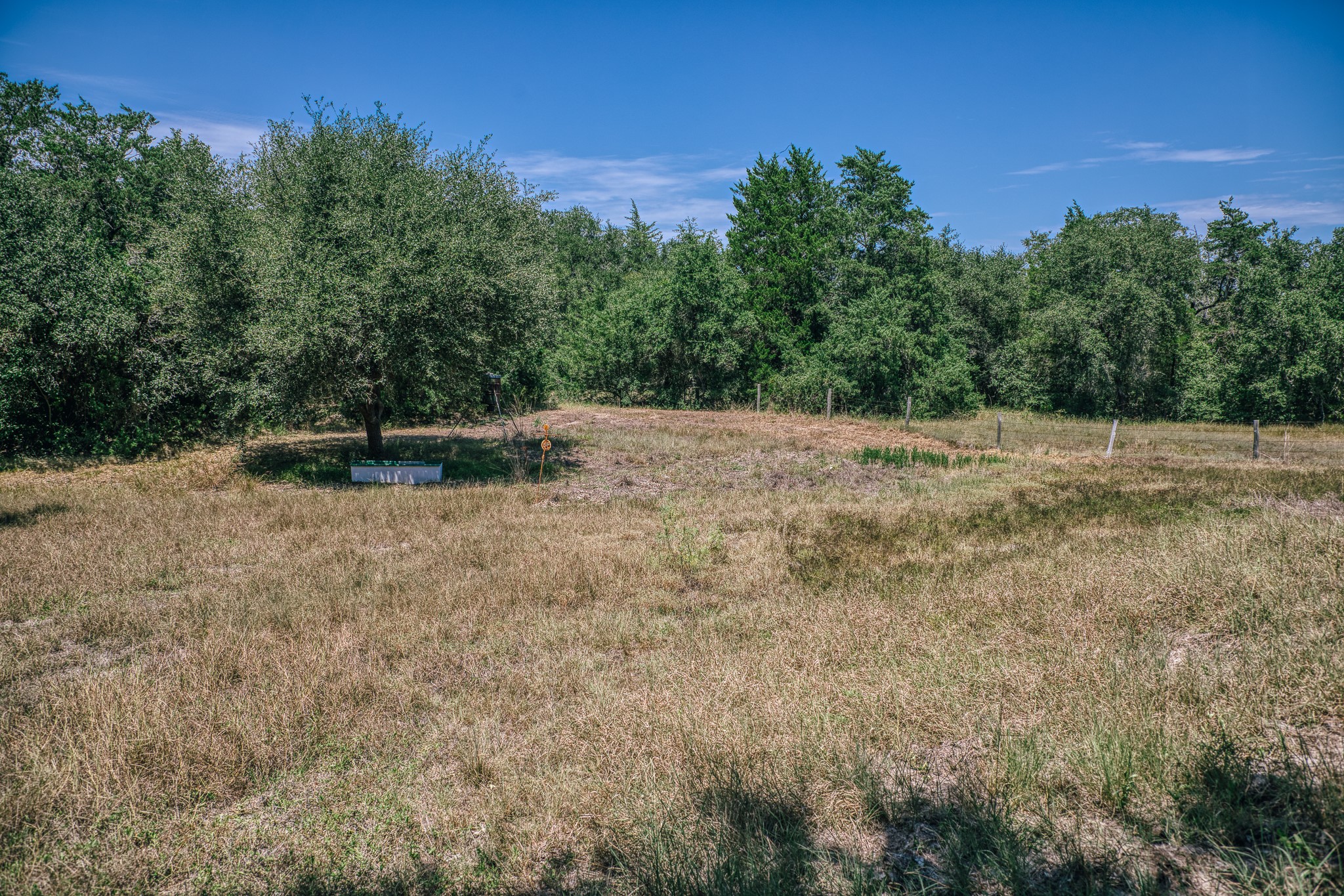 5003 Rocky Creek Manor Property Photo 13