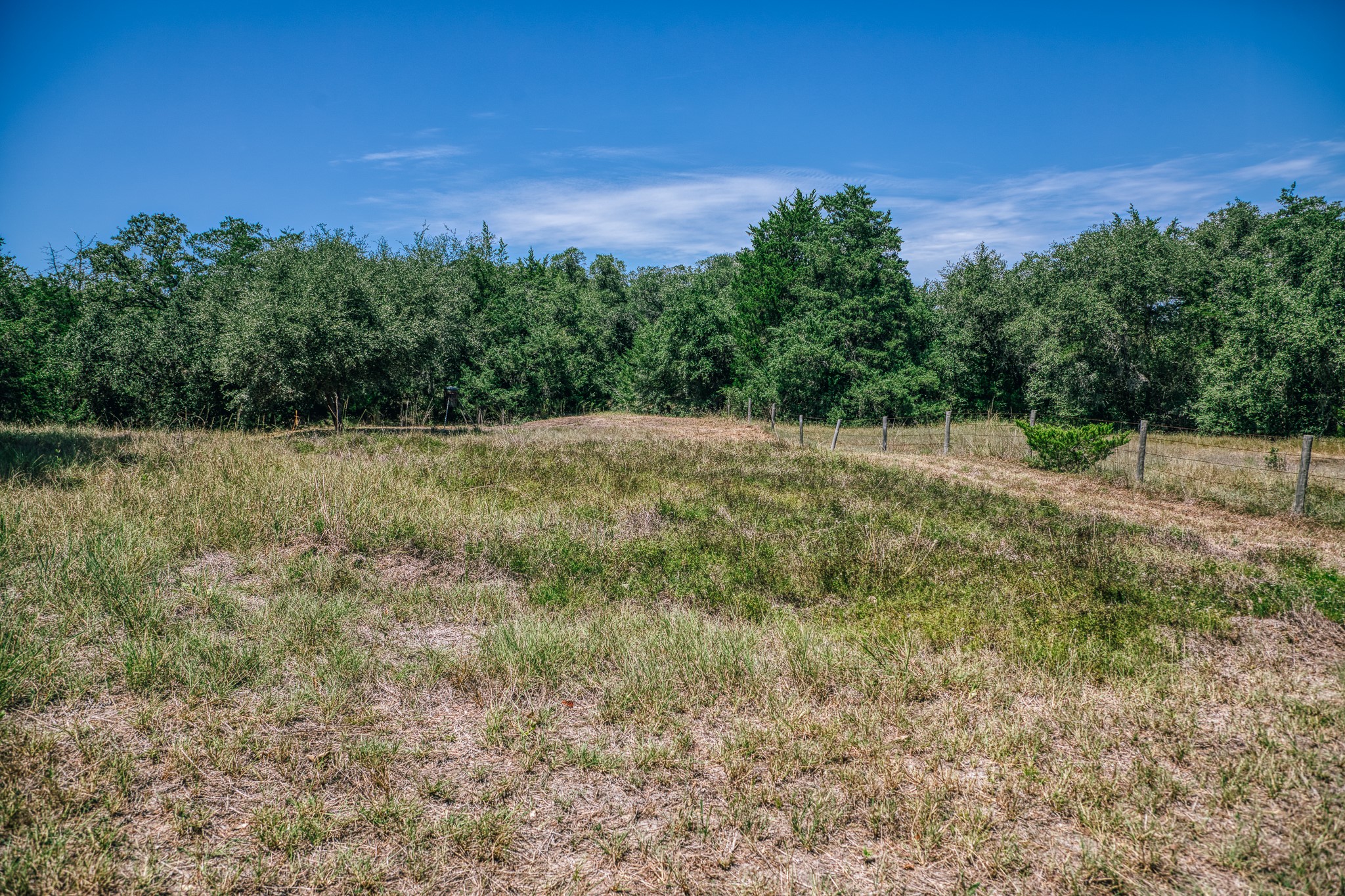 5003 Rocky Creek Manor Property Photo 14