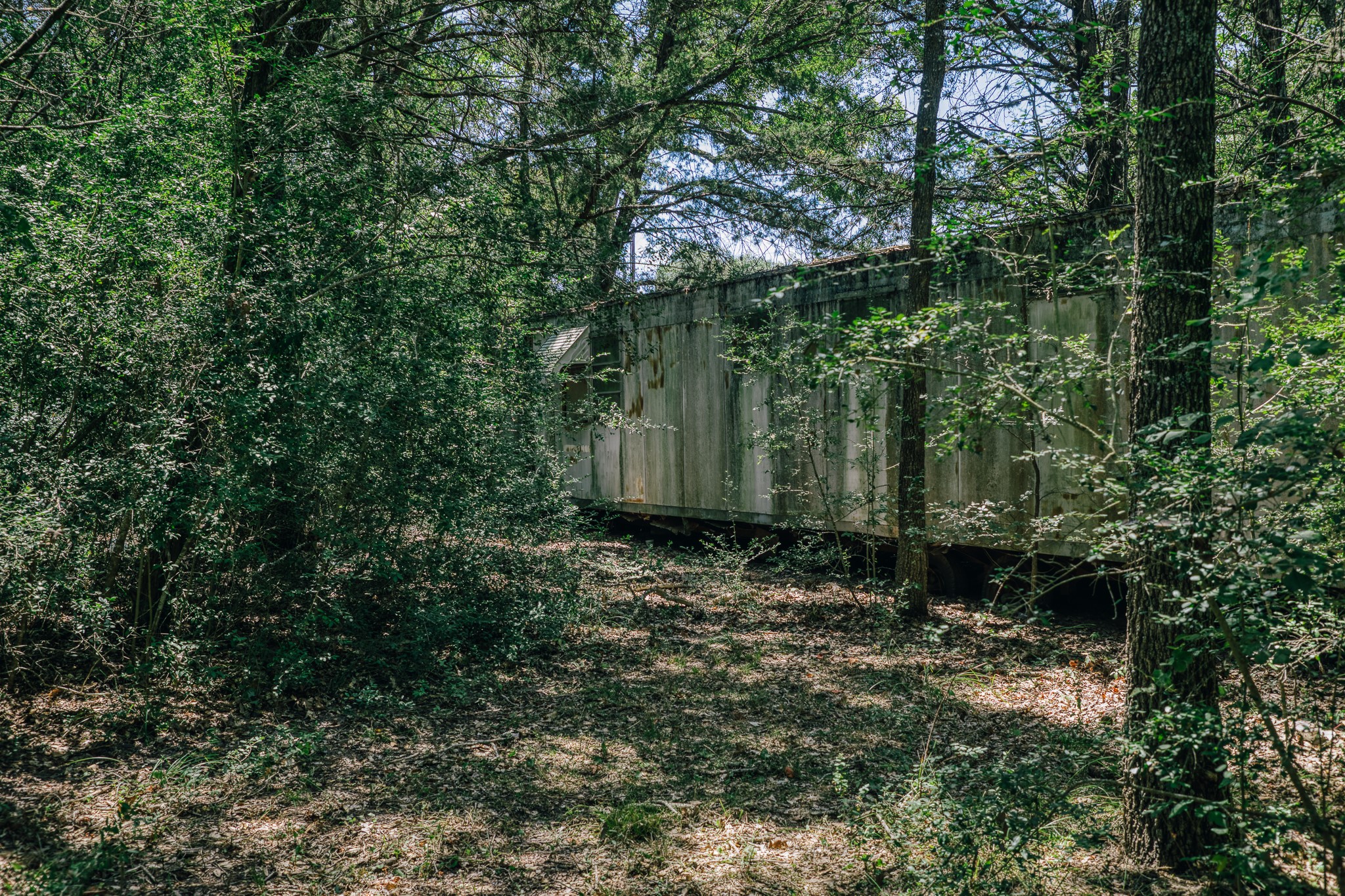 5003 Rocky Creek Manor Property Photo 19