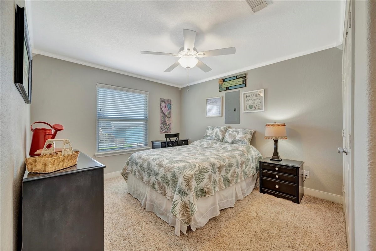 28 Dolphin Street Property Photo 24