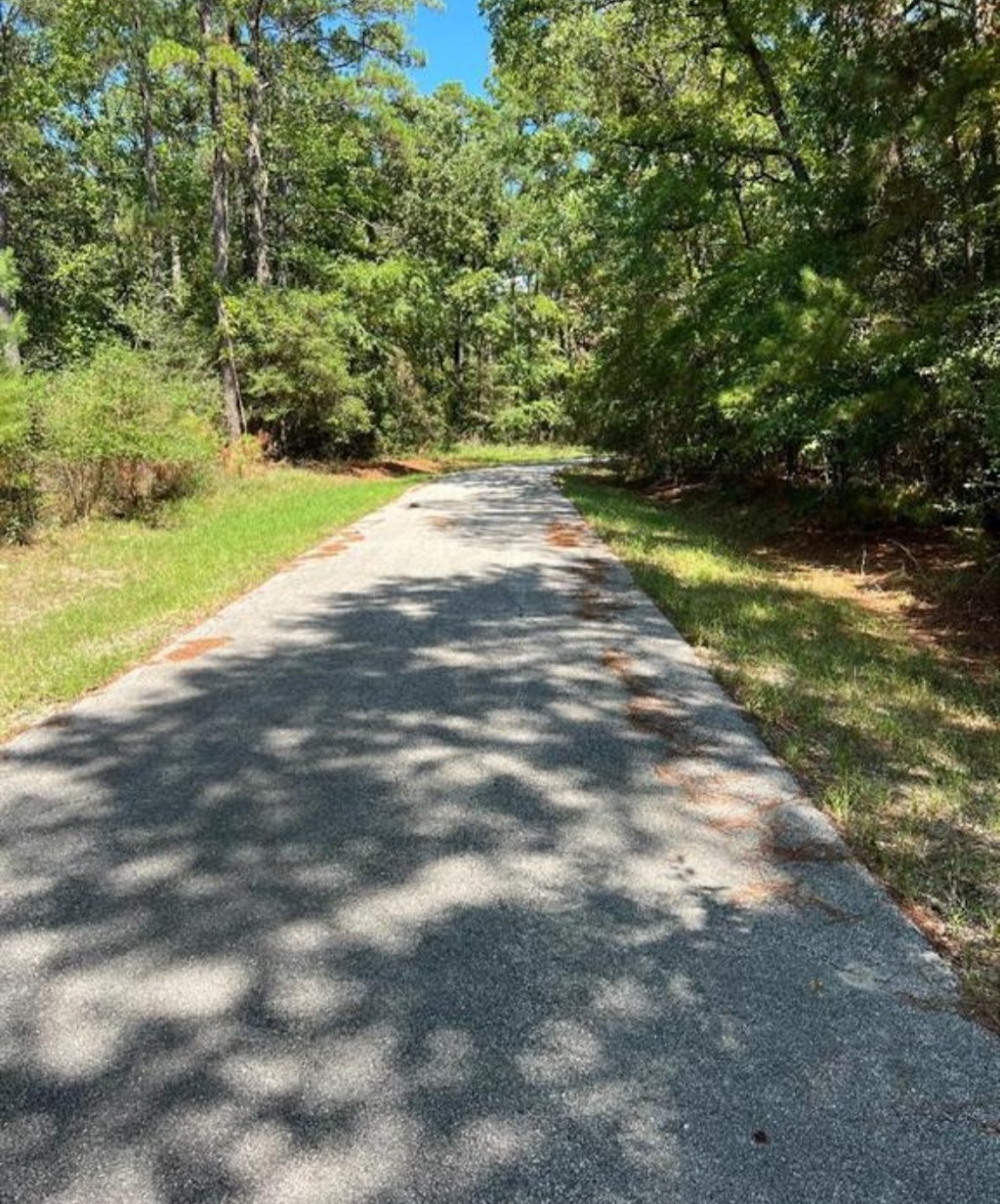 38 Landing Way Property Photo 2