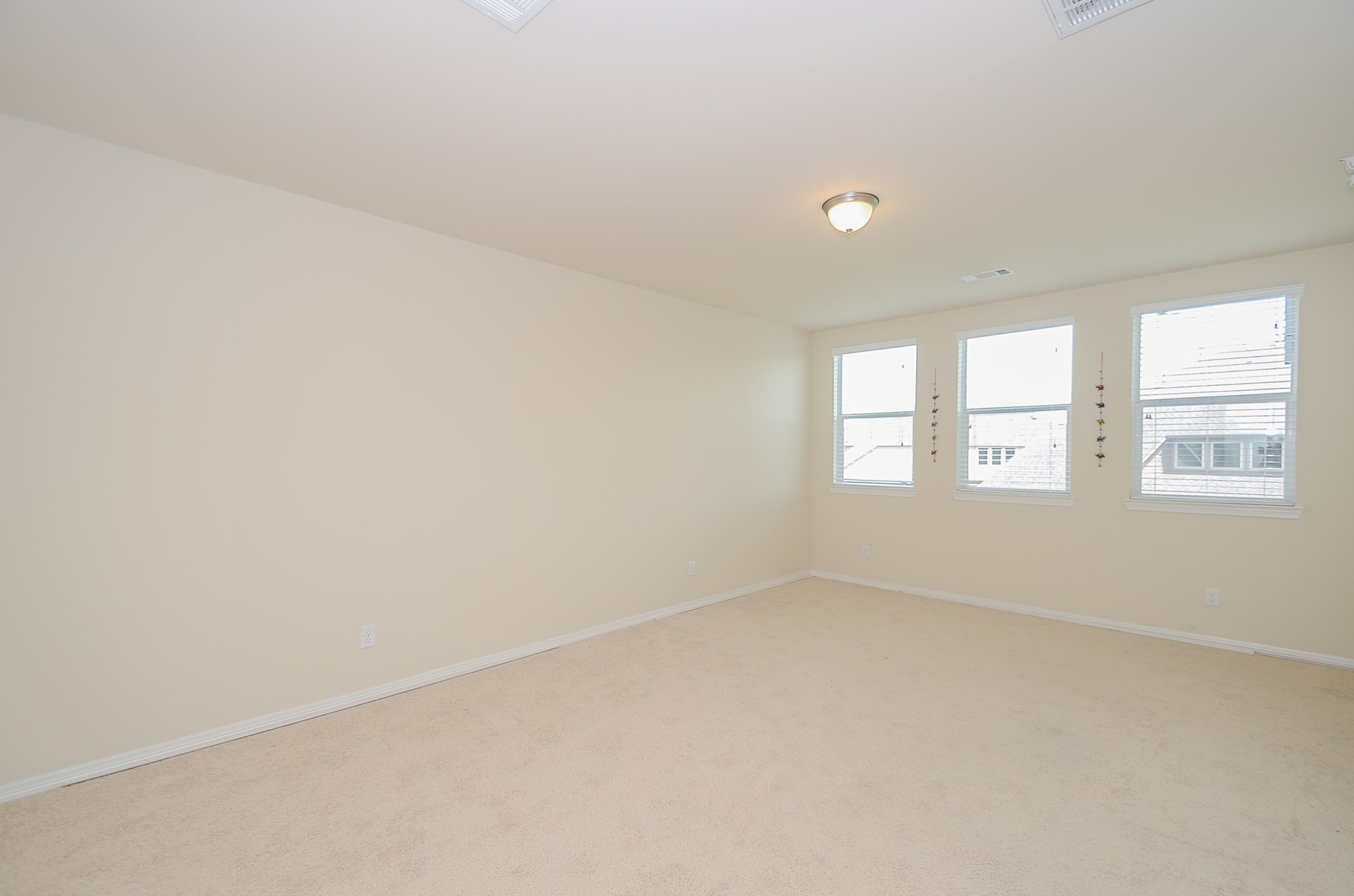 27031 Drybank Creek Lane Property Photo 21