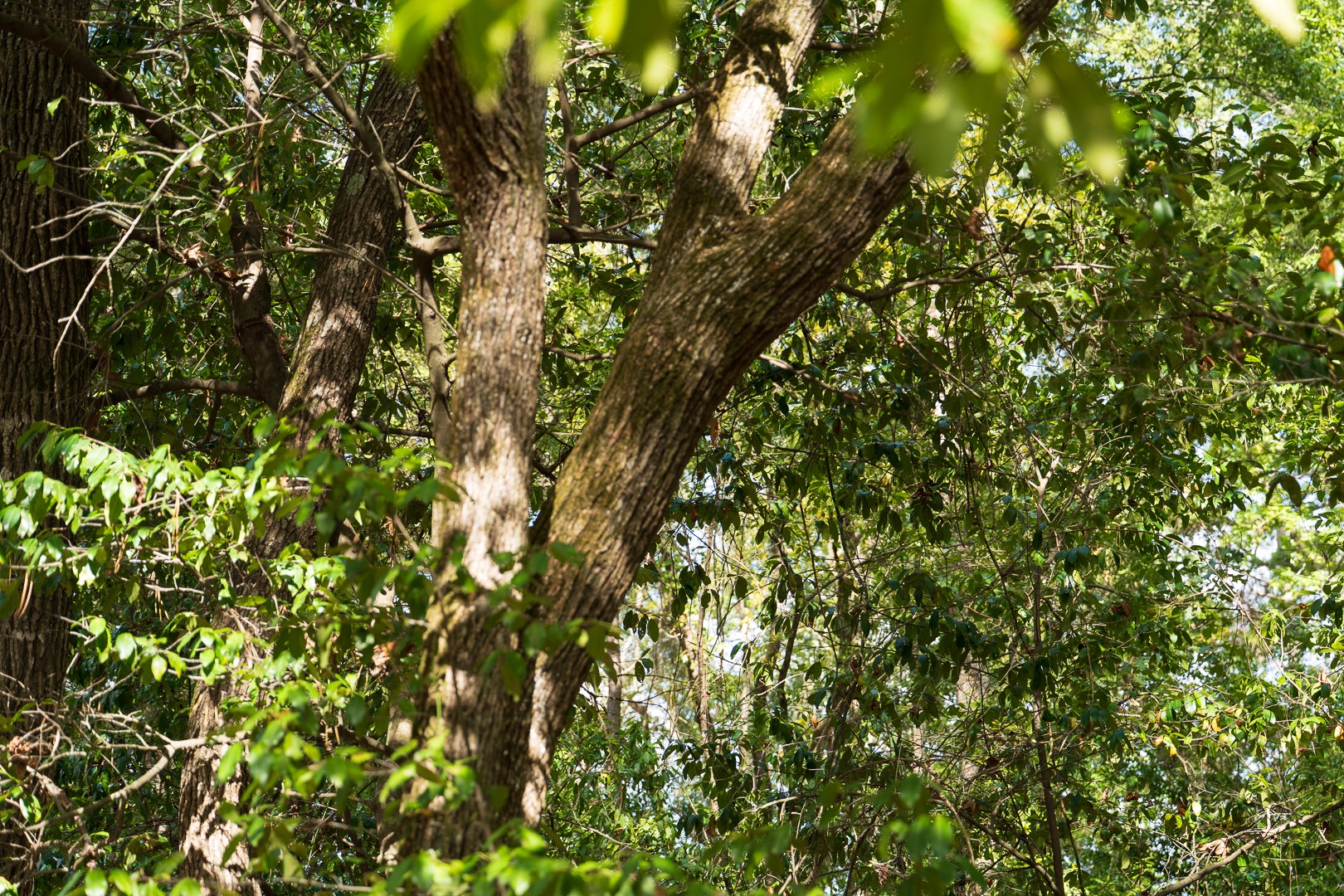 Tbd Fm-343 Property Photo 4