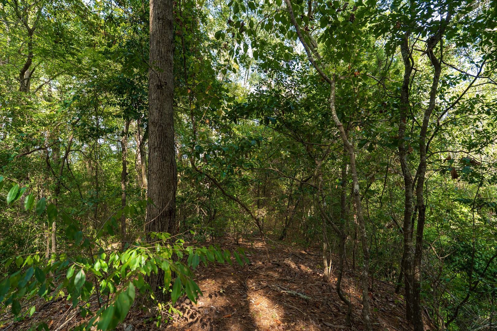 Tbd Fm-343 Property Photo 6
