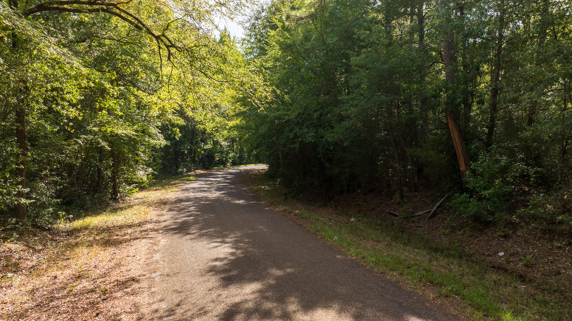 Tbd Fm-343 Property Photo 13