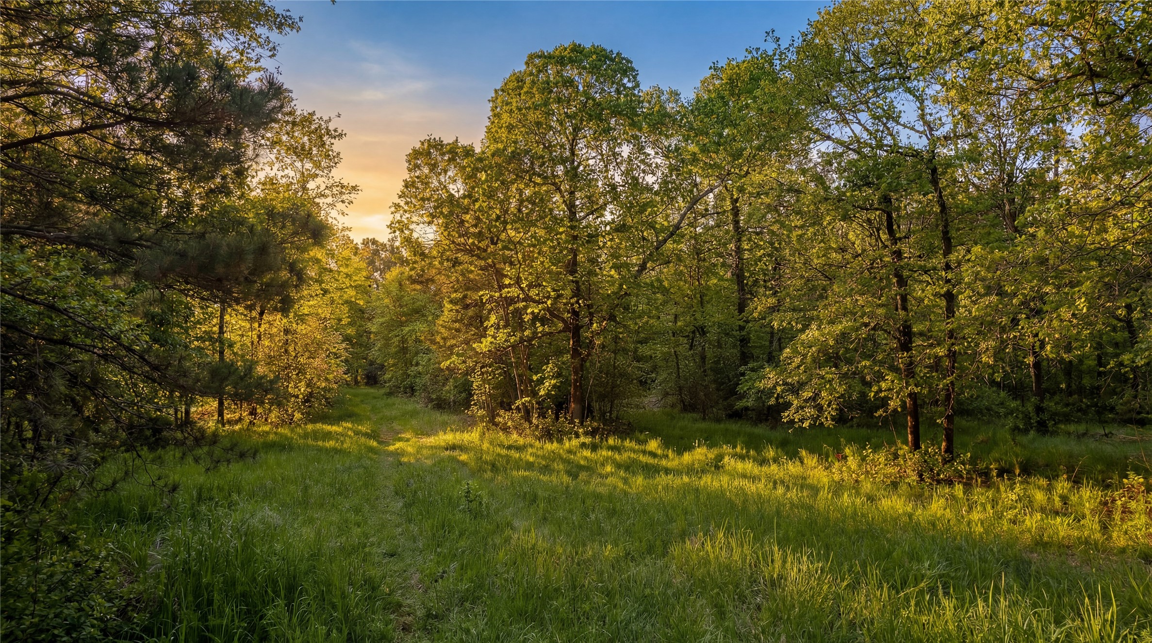1-7-15 Forever Road Property Photo 5