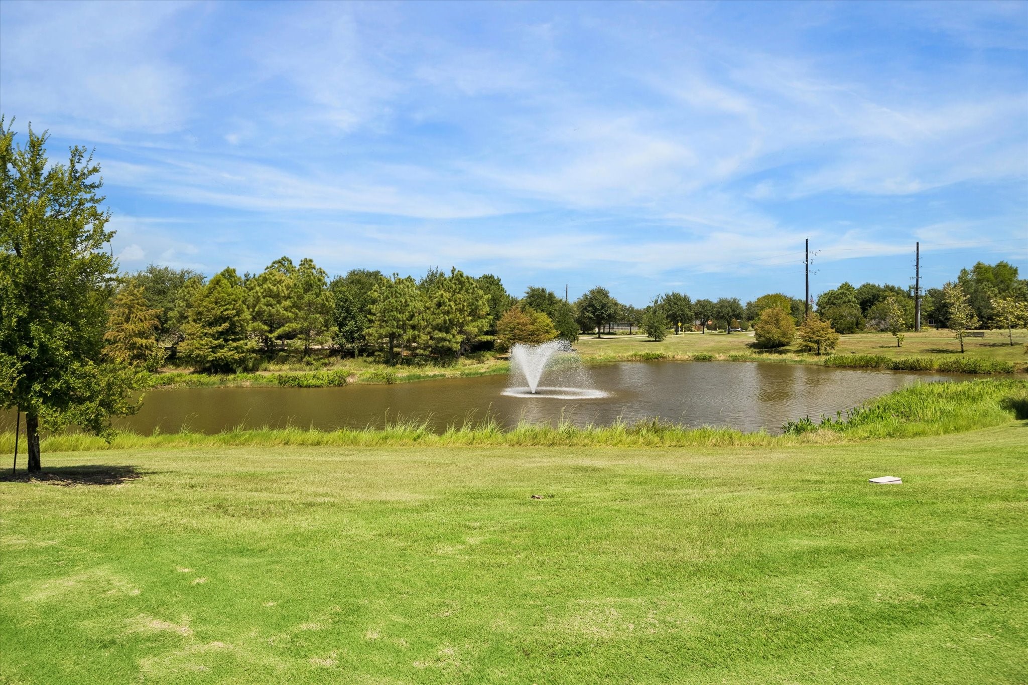 5610 Ivory Cove Lane Property Photo 30