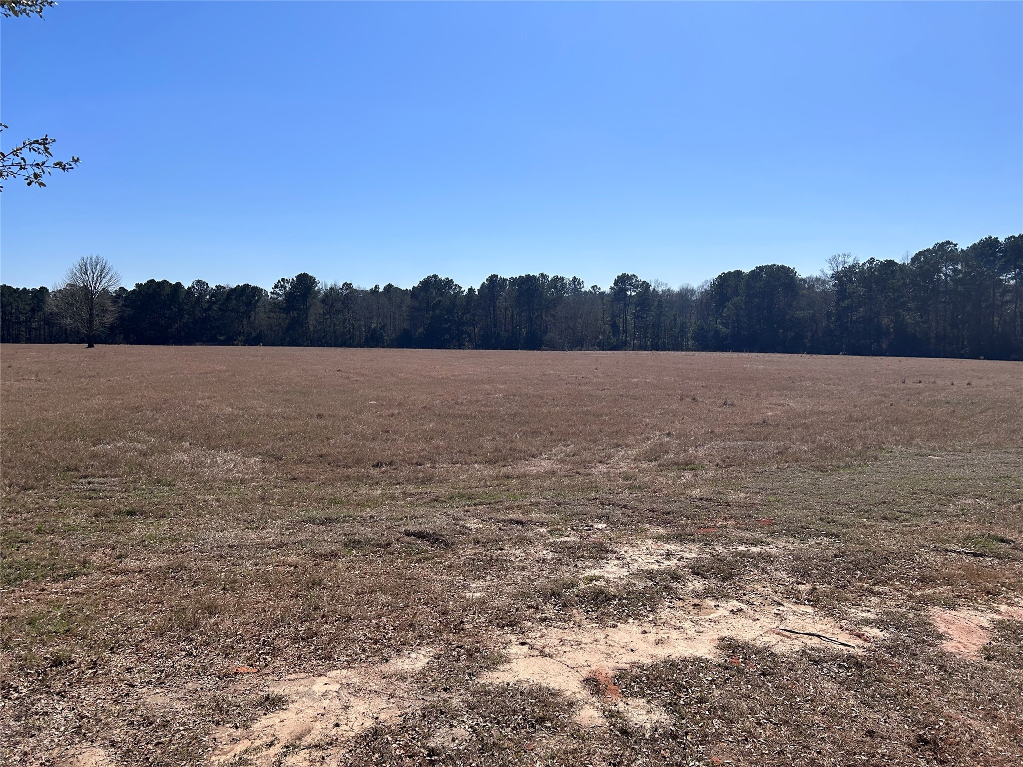 Tbd Royal Oak Drive Lot 138 Property Photo