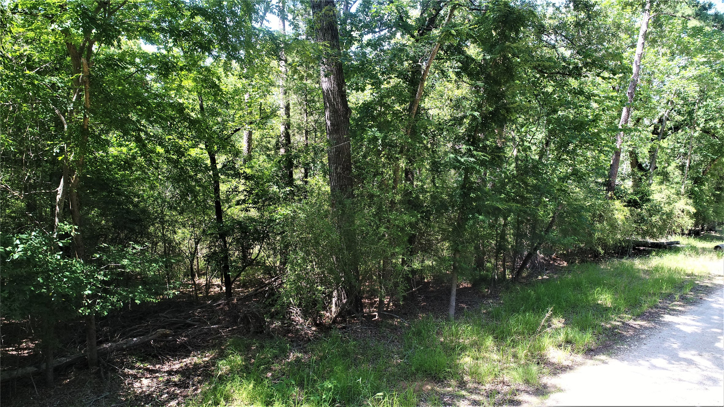 Tbd Lakeview Drive Property Photo 3